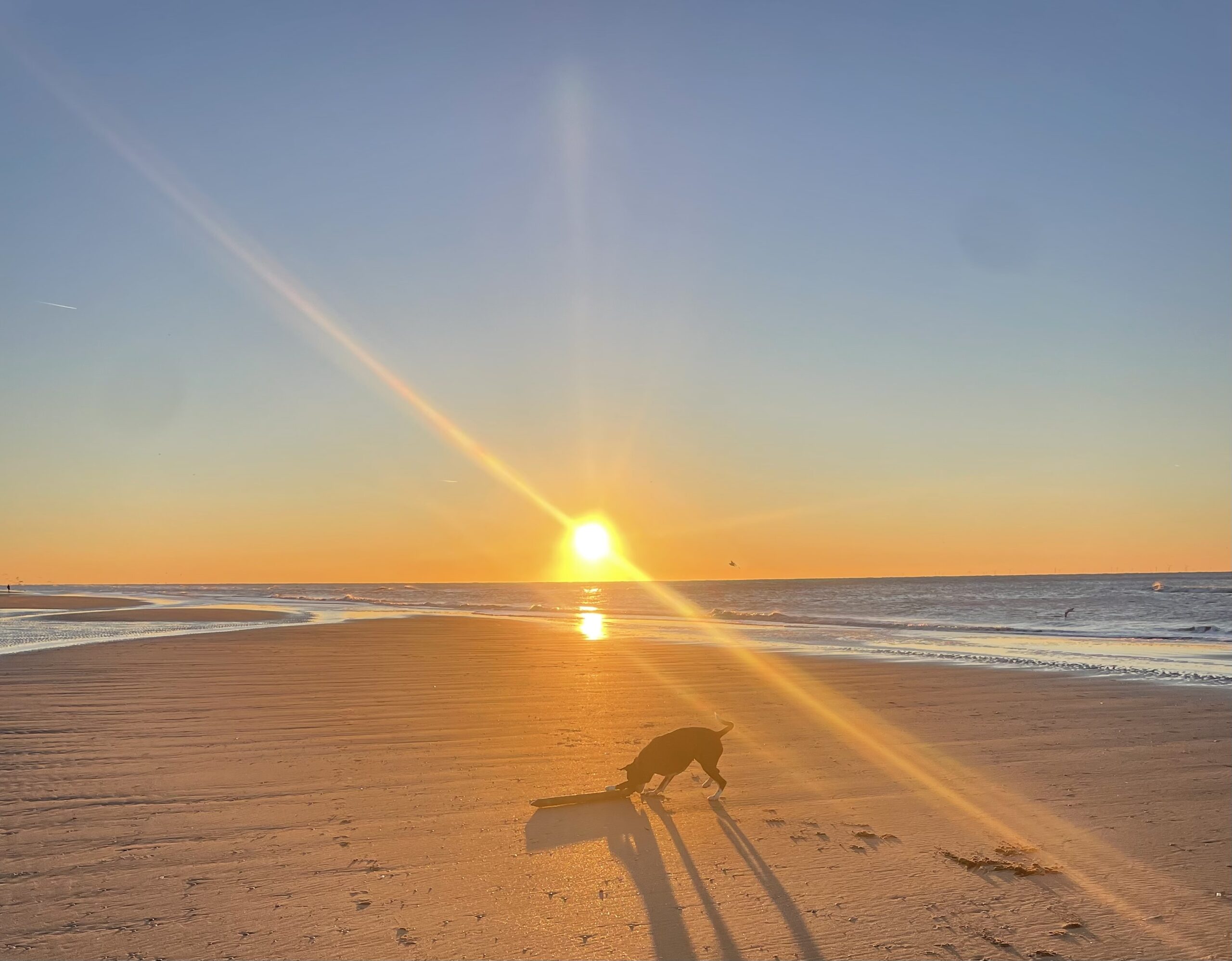 Sammy Trainer Kundalini Yoga bij het strand.